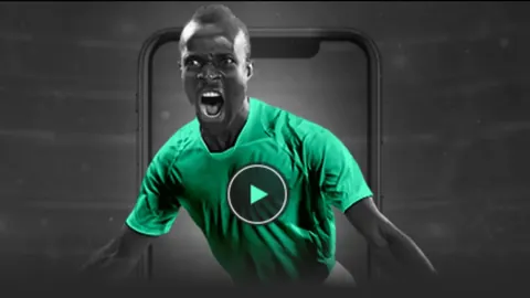 巴西国家队世界杯成绩简述